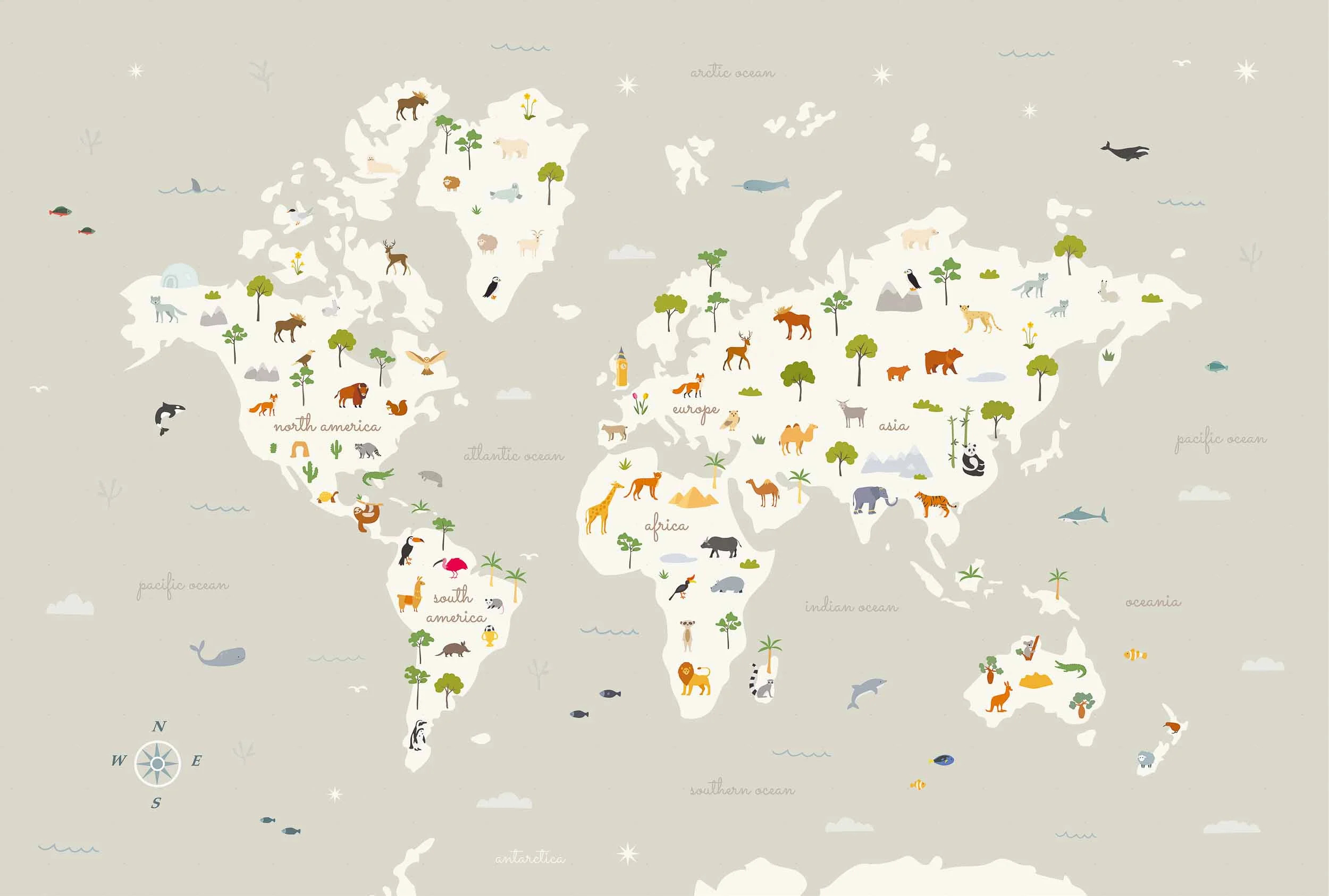Animal Map, Cloud, Coordonne